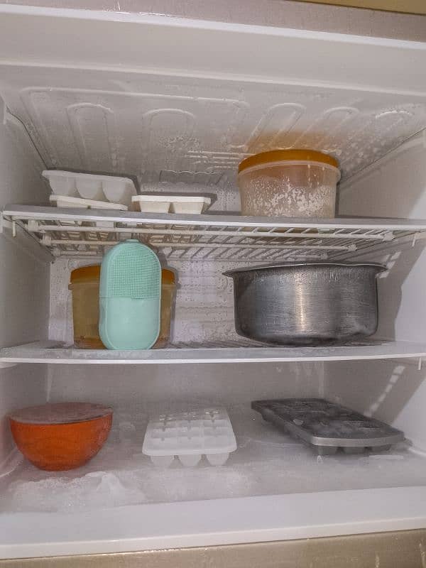 PEL REFRIGERATOR 4