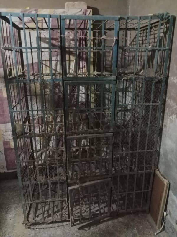 poultry shop pinjara for sale 2