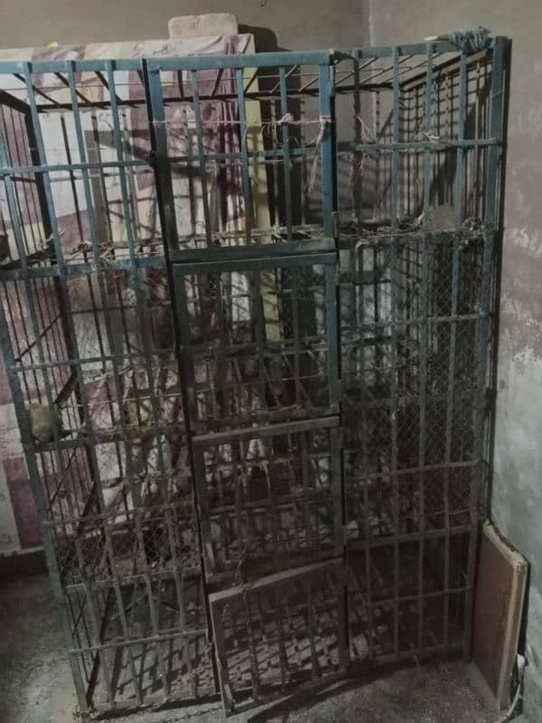 poultry shop pinjara for sale 3