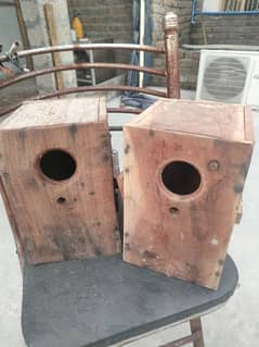 birds boxes