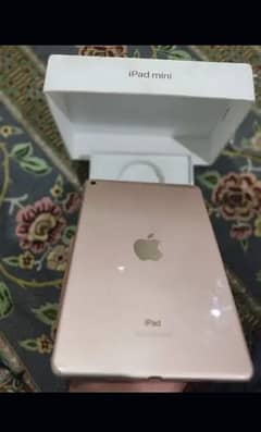 iPad *5* mini ok