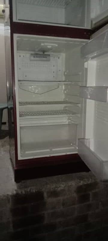 pel refrigerator 2