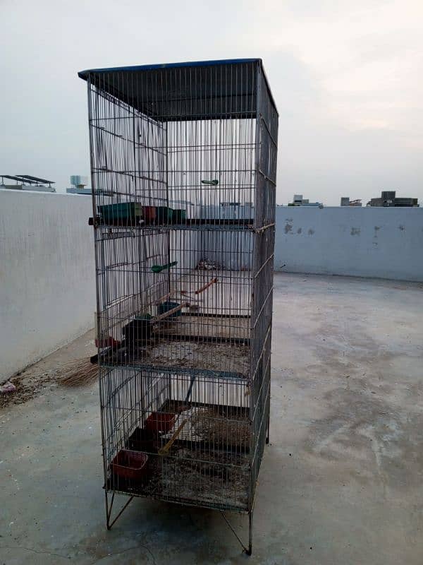 6 PORTION CAGE 2