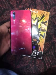 VIVO