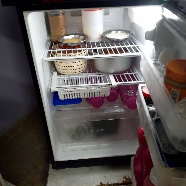 PEL refrigerator 9