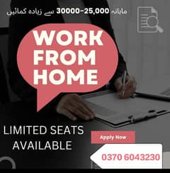 online jobs/full time/part time/simple typing jobs for boys and girls