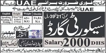 Consultancy Fee Applies 0