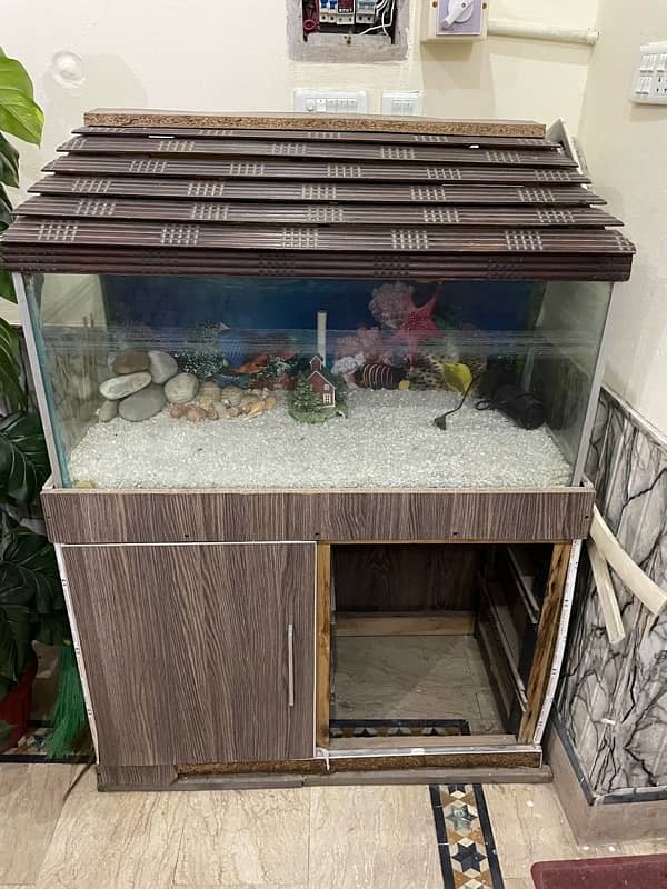 Fish Aquarium 1