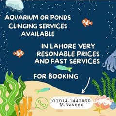 Aquarium or ponds service Kar WA wo b ghr bataya