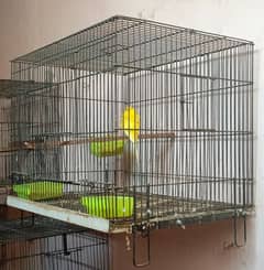 Used cages Urgent sale