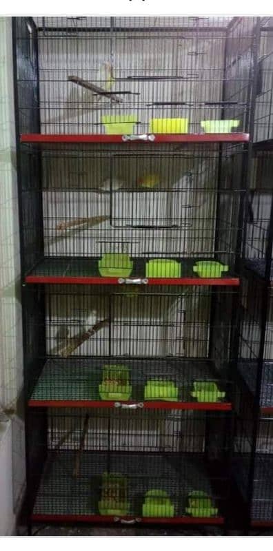 Used cages Urgent sale 2