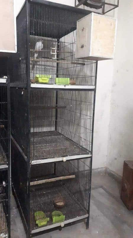 Used cages Urgent sale 4