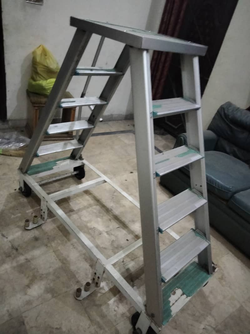 New condition 10/10 ladder 0