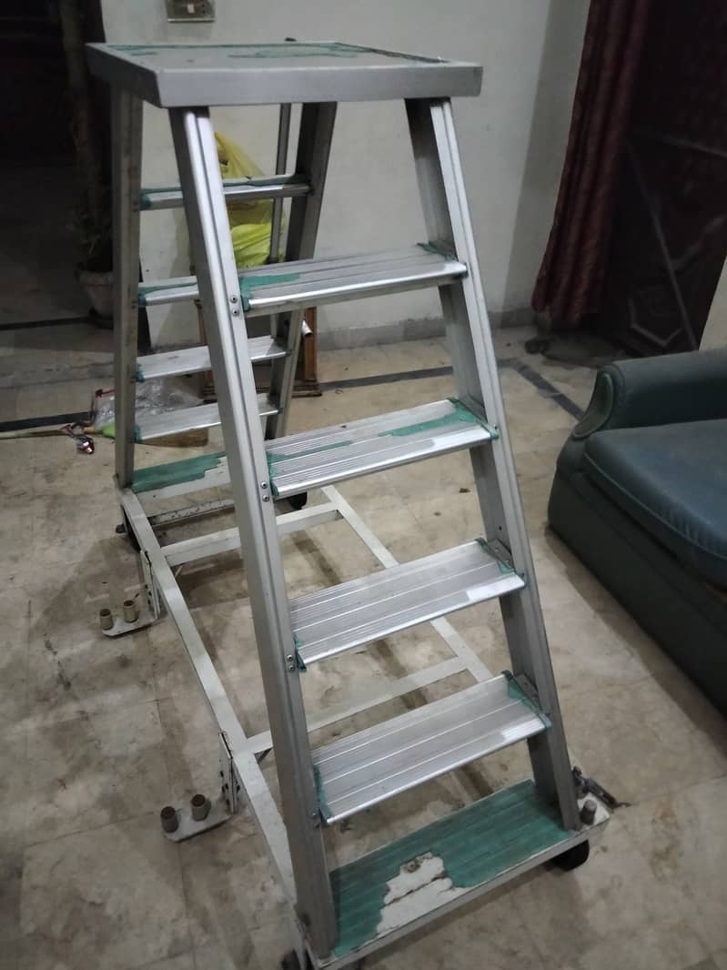 New condition 10/10 ladder 1