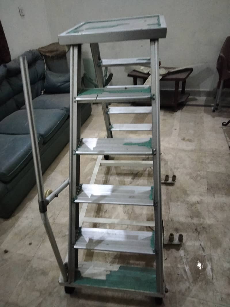 New condition 10/10 ladder 2