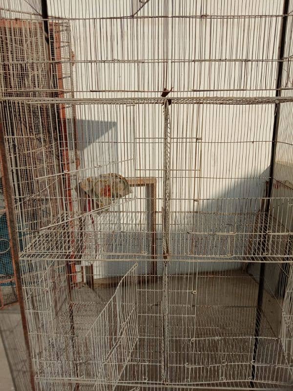 8 portions birds cage 1