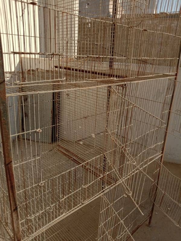 8 portions birds cage 2