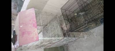 cage for sale urgent 0