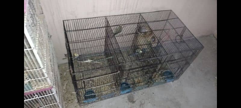 cage for sale urgent 1