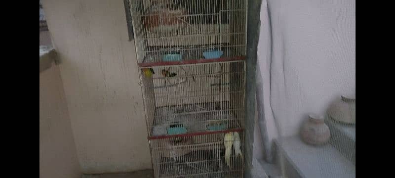 cage for sale urgent 5