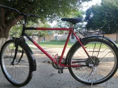 PHONEIX Bicycle For Sale