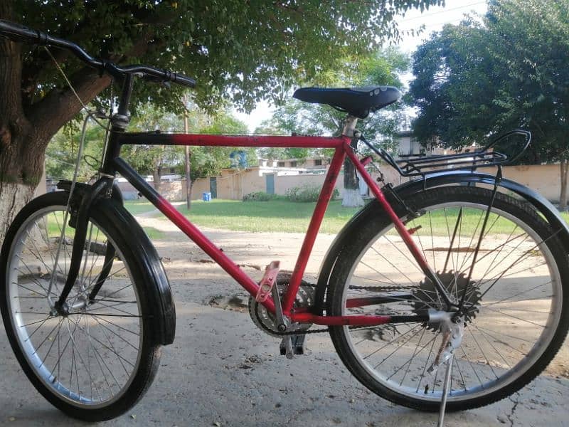 PHONEIX Bicycle For Sale 0