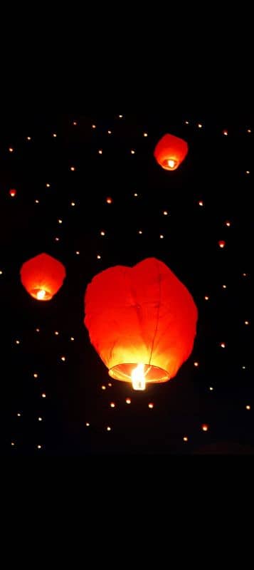 Sky Lanterns , Teddy Bear , Color Smoke , Laaltain in Wholesale price 2