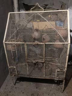 Cage for parrot