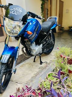 Yamaha