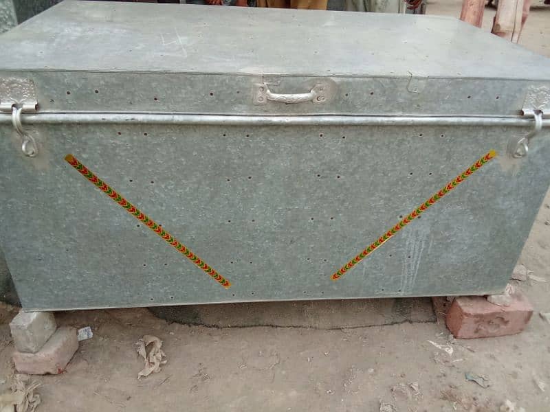 5Foot Trunk Paiti Available for sale in very Cheap Rates 18