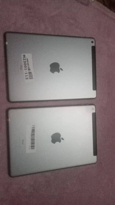 apple I pad 5 available 0