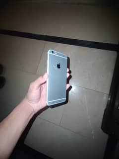 iPhone 6 plus  Pta approved