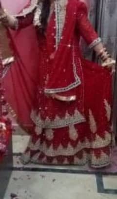 barat bridal sharara beautiful colour and design