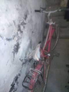 cycle for sale