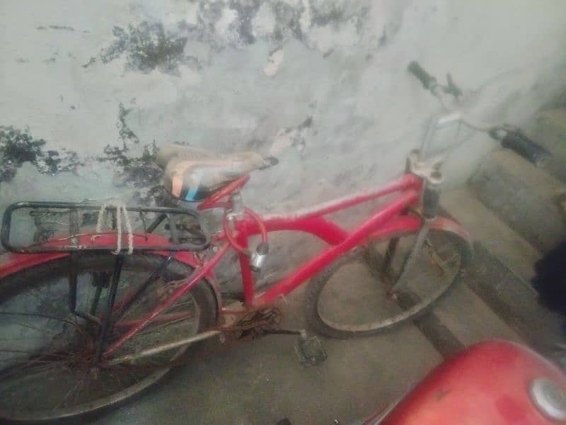 cycle for sale 1