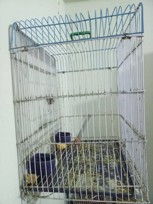 cage for sale 1