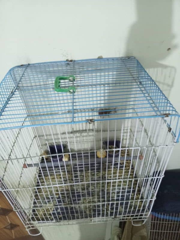 cage for sale 2