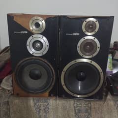 Speaker pioneer privale 10 inch