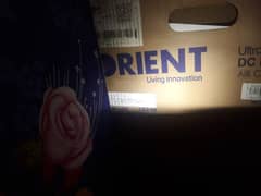 orient