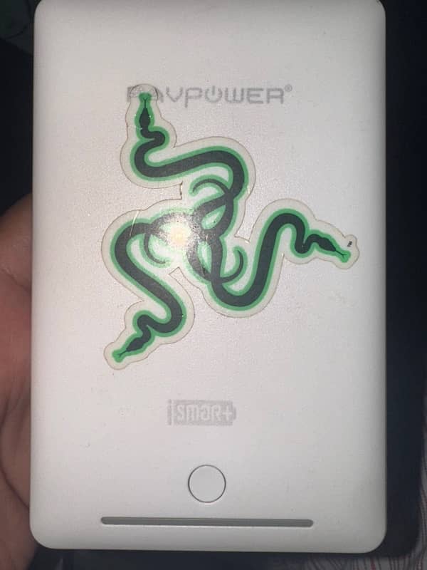 RAVPower delux power bank 0