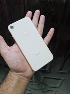 iPhone 8 pta approved 64gb