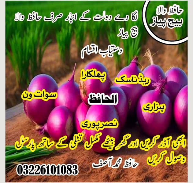 پیاز کے ذاتی فارم کے تیار کردہ خالص سیڈز دستیاب ہیں 0