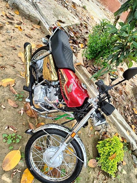 honda cg 125 special edition gold 1