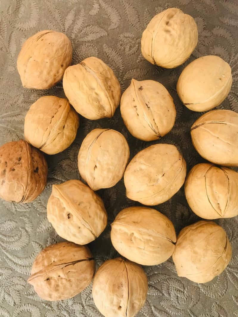 Jumbo Chinese walnut (akhrot) for sale 1