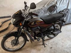 Honda Pridor CD100 2024 Black Genuine NEW