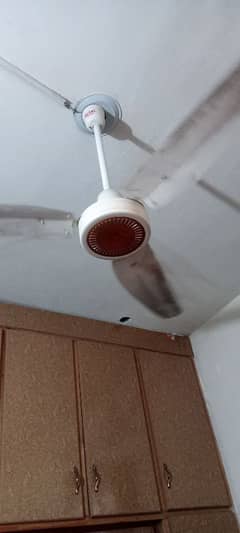 New Condition Fan Urgent sale 0