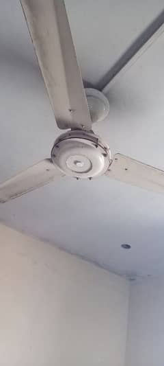 Used Condition fan