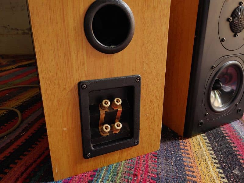 RIT High End bookshelf Speakers 9