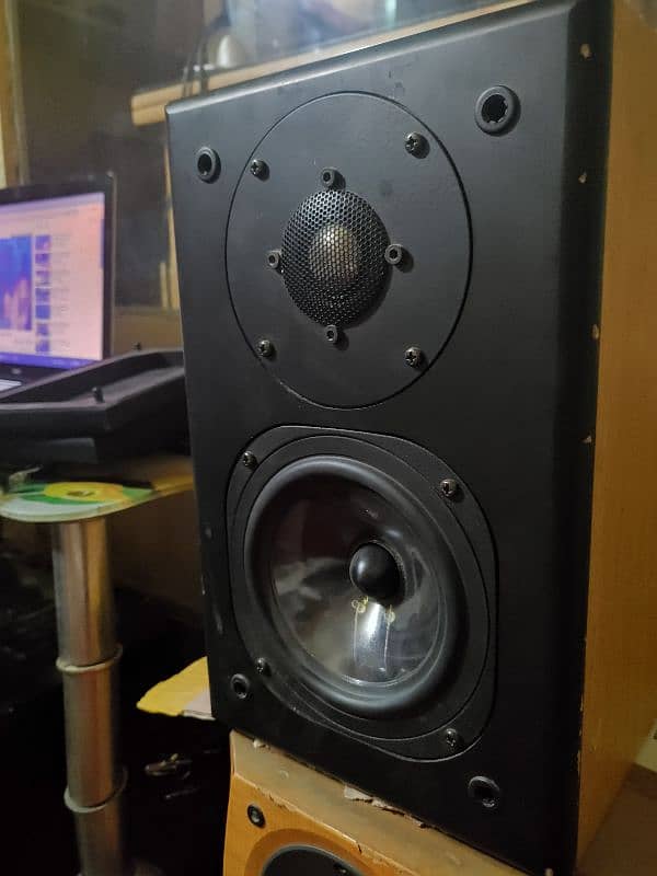 RIT High End bookshelf Speakers 11