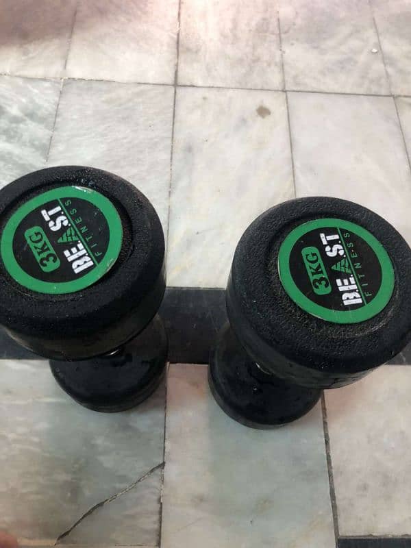 3 kg 3 kg 2dumbells 3